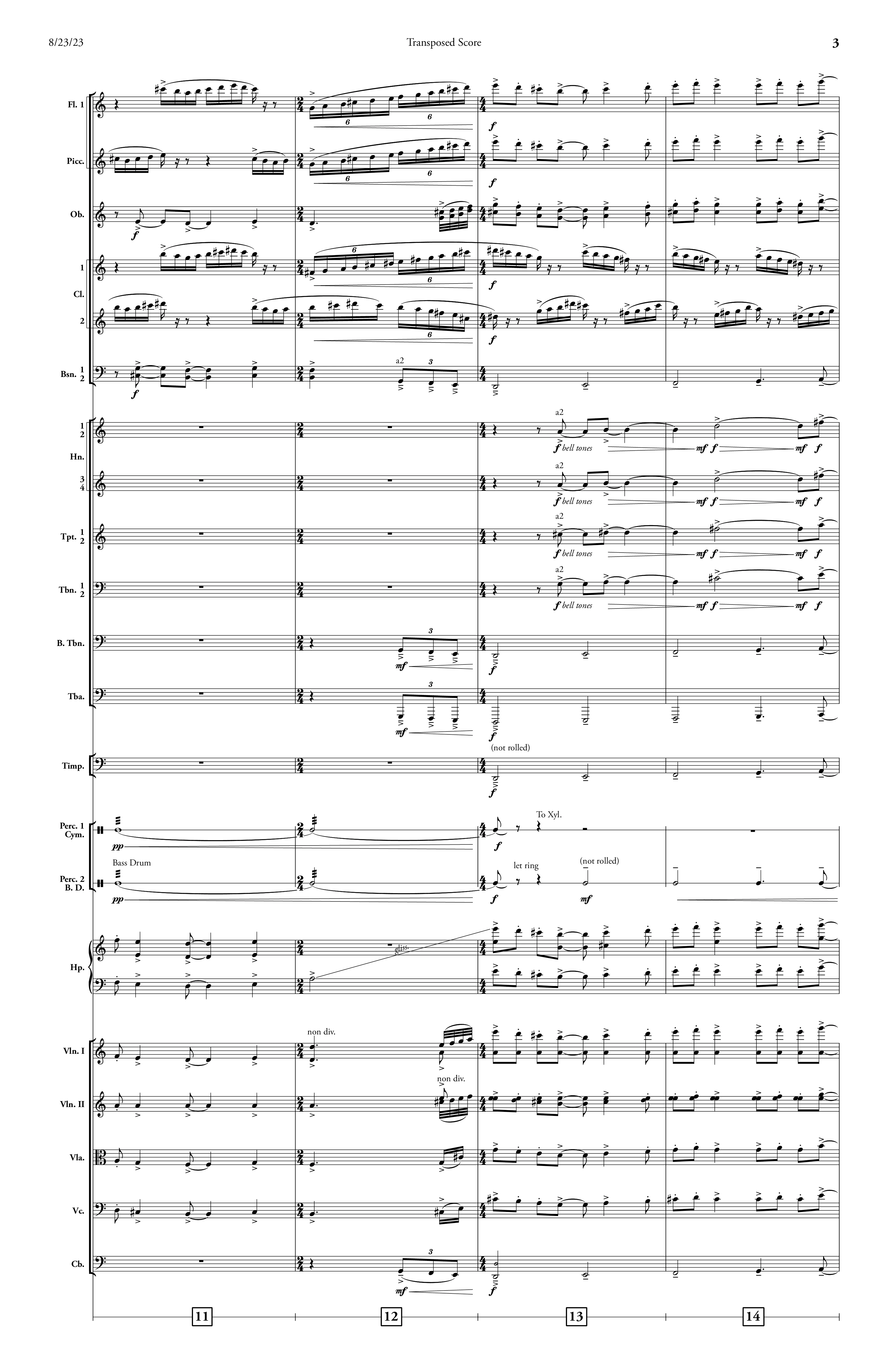 Bravado (Orchestra) - Image 4