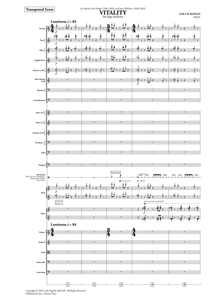 Vitality (Orchestra) - Image 3