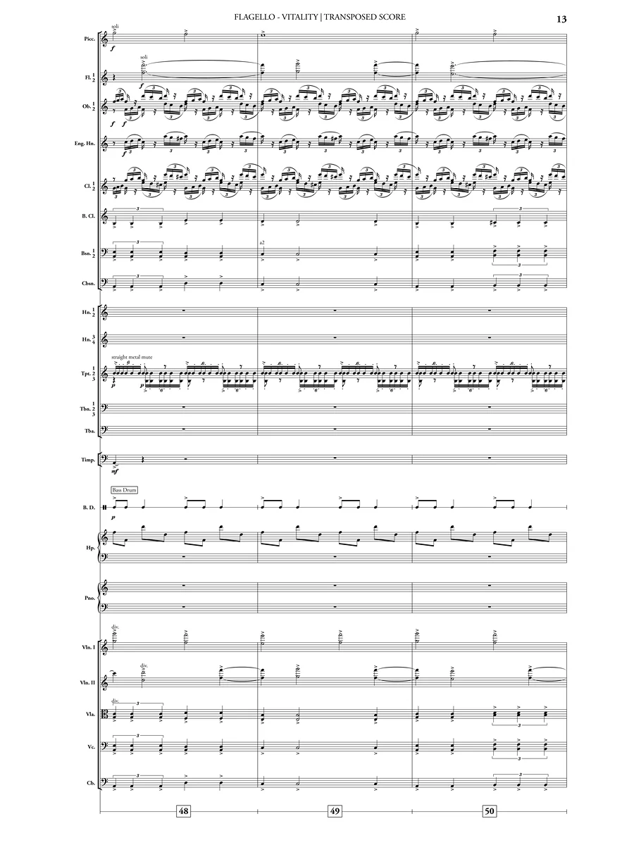 Vitality (Orchestra) - Image 4