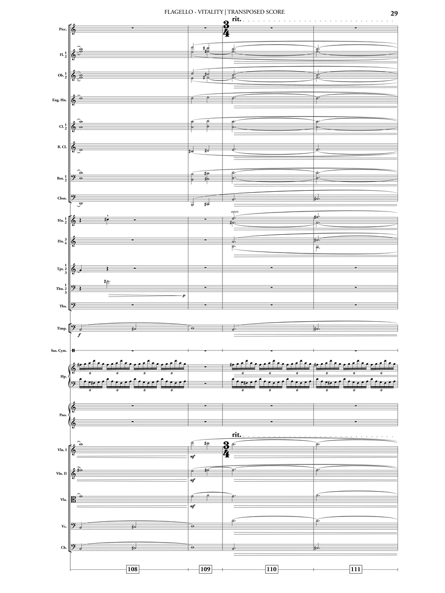Vitality (Orchestra) - Image 5
